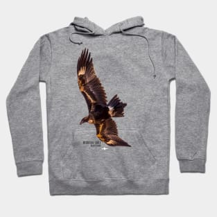 Wedgetail Eagle_02C Hoodie